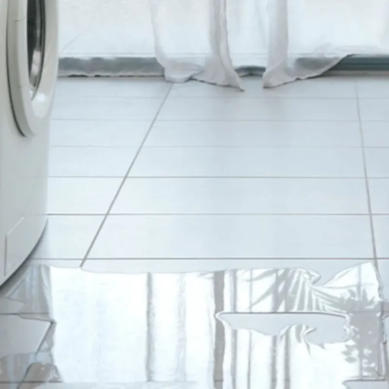 Appliance Leak Cleanup in Kemp, TX