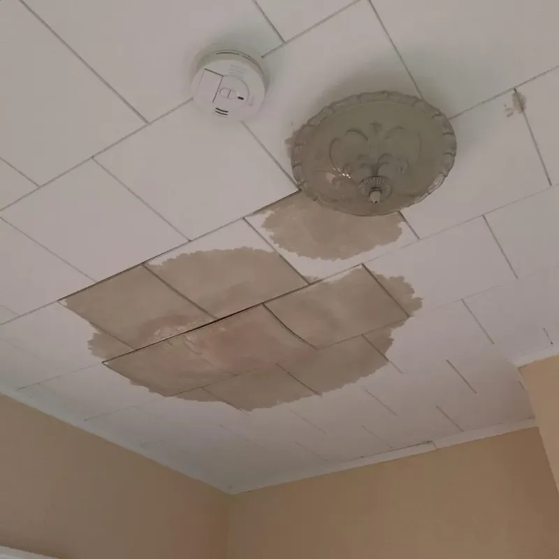 Ceiling Water Damage Repair in Kemp, TX