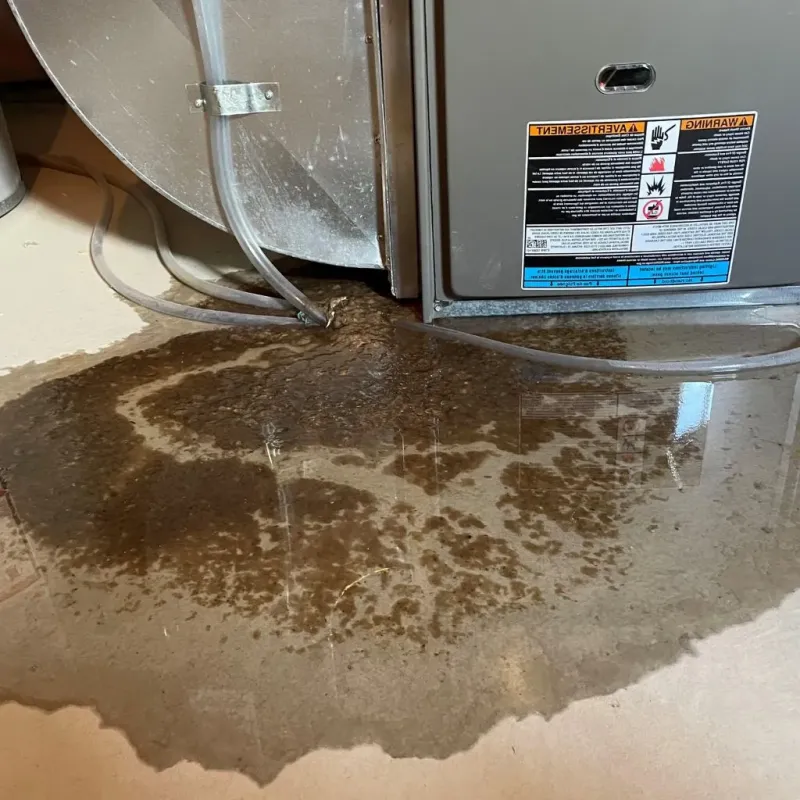 Pipe Burst and Leak Restoration in Kemp, TX