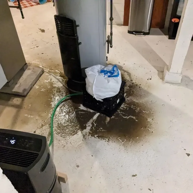 Sewage Backup Cleanup Service in Kemp, TX